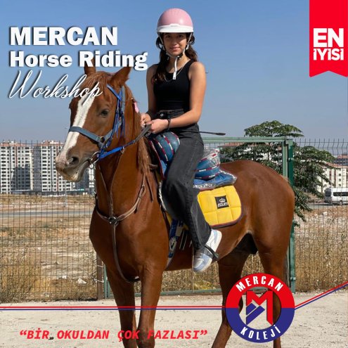 Mercan Horse Riding Workshop Malatya Mercan Koleji At Binme Atölyesi